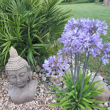 D Hôte La Rivière 45m2 Jardin Et Piscine * Aigrefeuille-dʼAunis