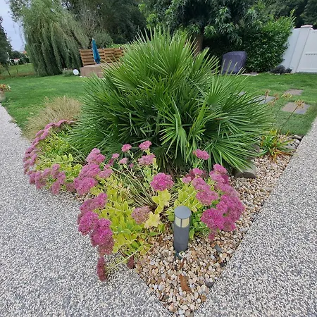 D La Riviere 45m2 Jardin Et Piscine Semesterbostad Aigrefeuille-dʼAunis