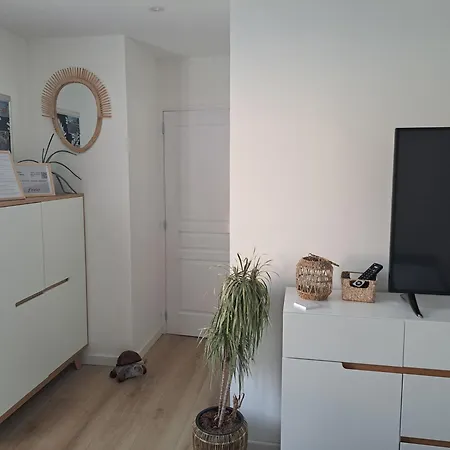 D La Riviere 45m2 Jardin Et Piscine